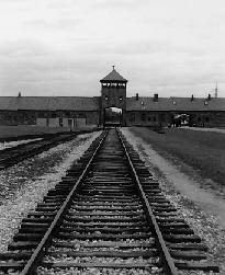 auschwitz.jpg