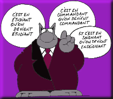 Enseignement